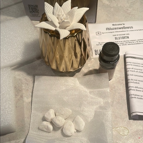 NIB Bluzen Succulent Stone Diffuser - Picture 3 of 6